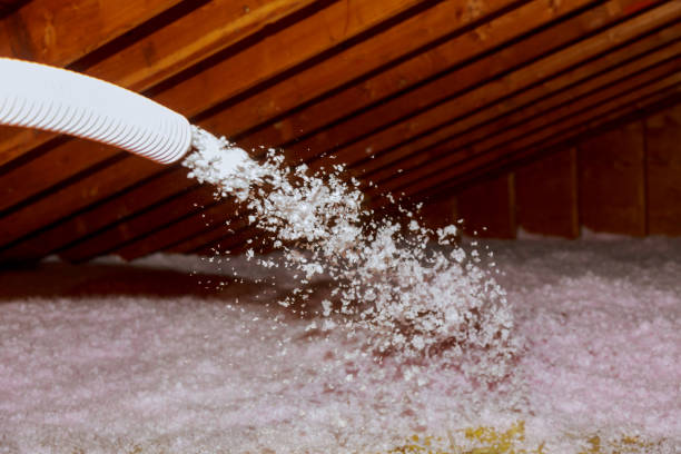 Best Eco-Friendly Insulation in George West, TX