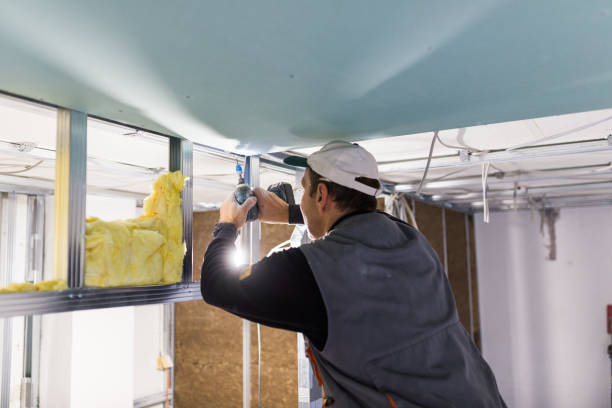 Best Insulation Maintenance and Repair in George West, TX