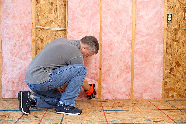 Best Cellulose Insulation in George West, TX